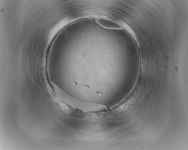 X0000088841096200706071414