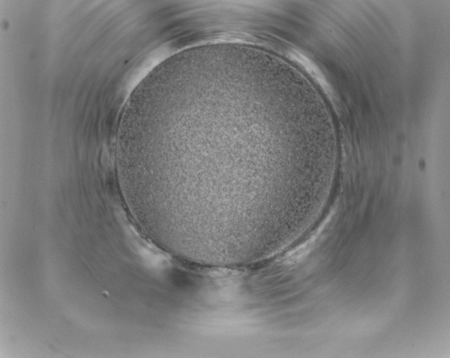 X0000088841097200706071414