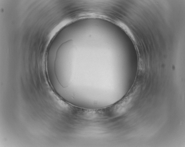 X0000088841098200706071414