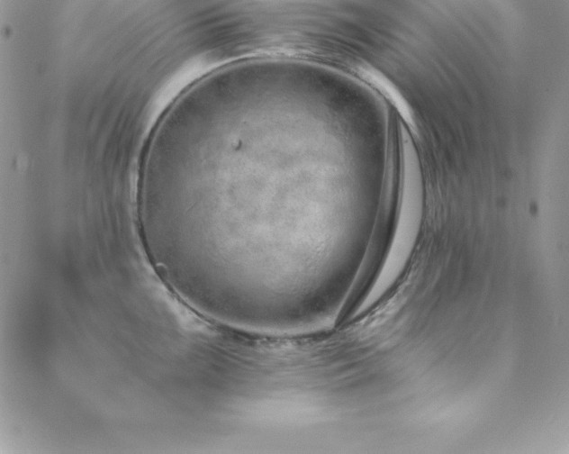 X0000088841099200706071414