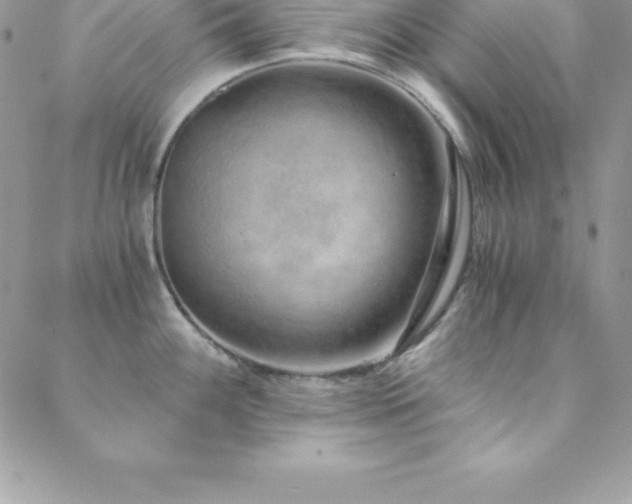 X0000088841100200706071414