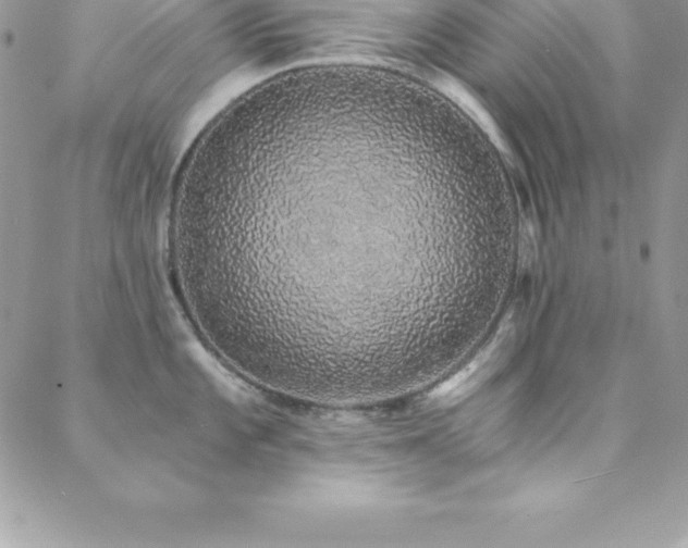 X0000088841101200706071414