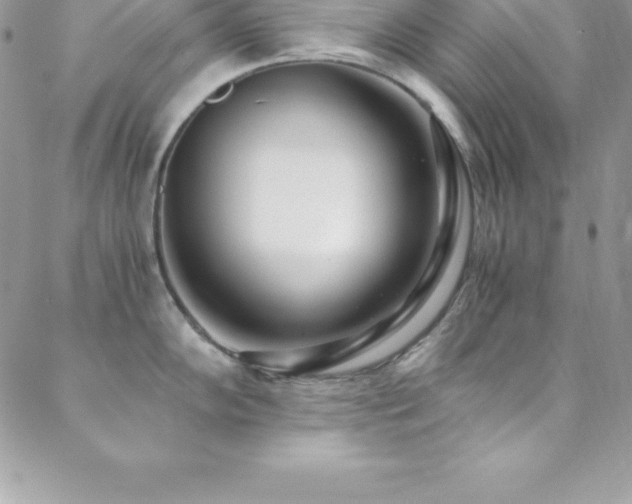 X0000088841102200706071414