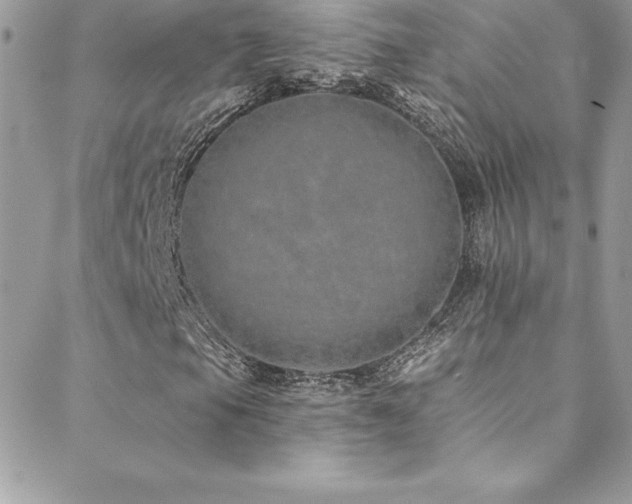 X0000088841105200706071413