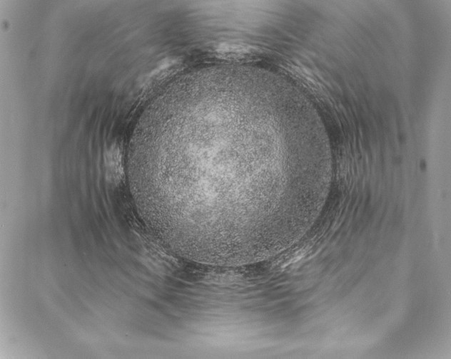 X0000088841106200706071413