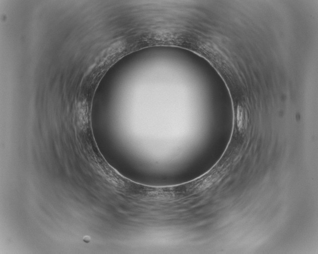 X0000088841107200706071413