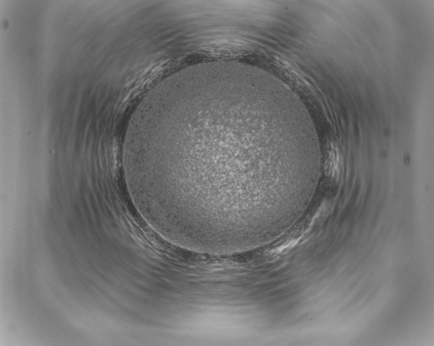 X0000088841108200706071413