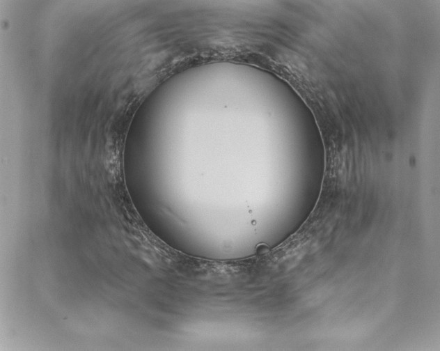 X0000088841109200706071413