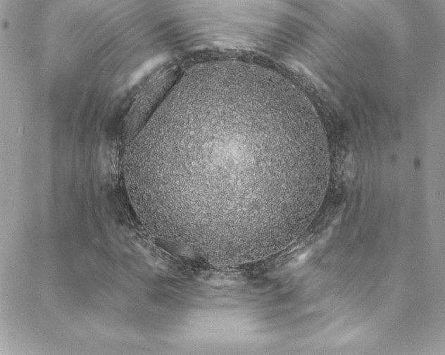 X0000088841110200706071413