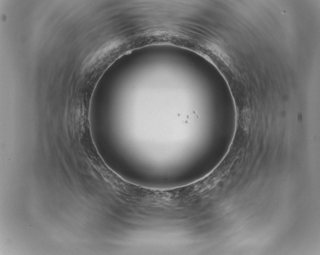 X0000088841111200706071413