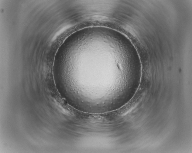 X0000088841112200706071413