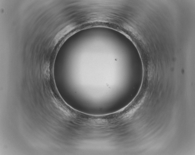 X0000088841113200706071413