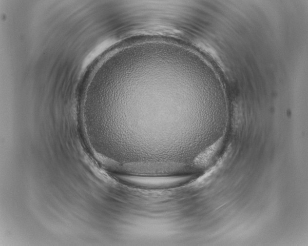 X0000088841114200706071413