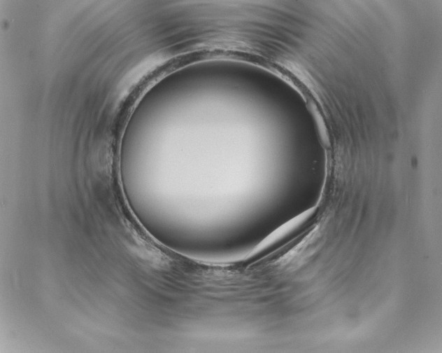 X0000088841115200706071413