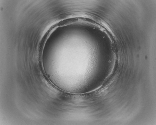 X0000088841116200706071413