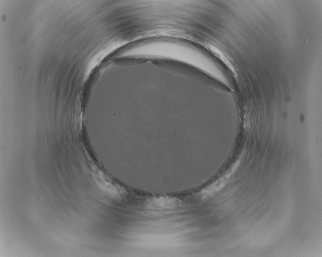 X0000088841117200706071413