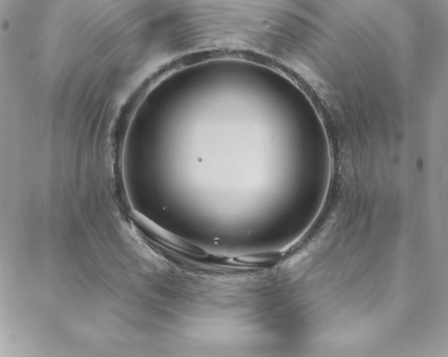 X0000088841118200706071413