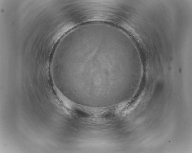 X0000088841121200706071413