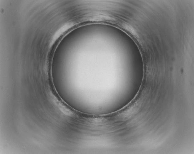 X0000088841122200706071413