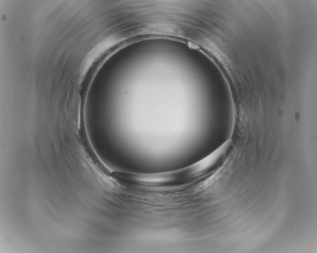 X0000088841123200706071413