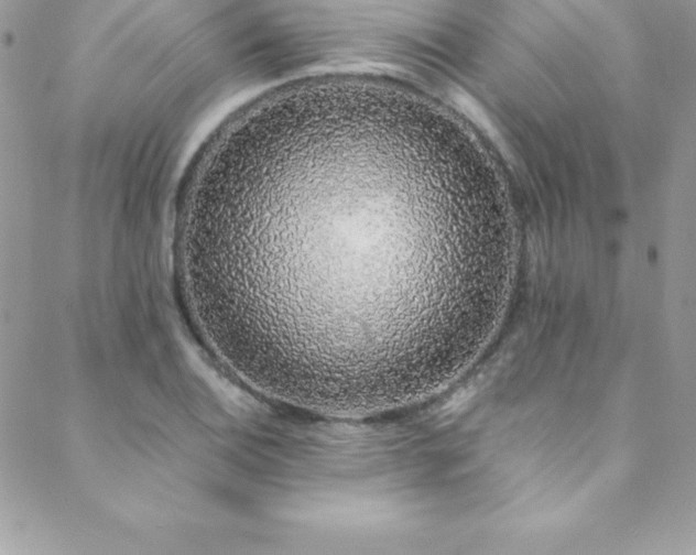 X0000088841124200706071413