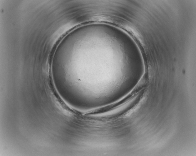 X0000088841125200706071413