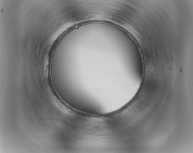 X0000088841126200706071413