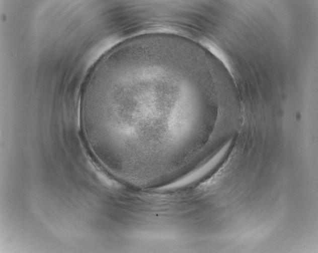 X0000088841127200706071413