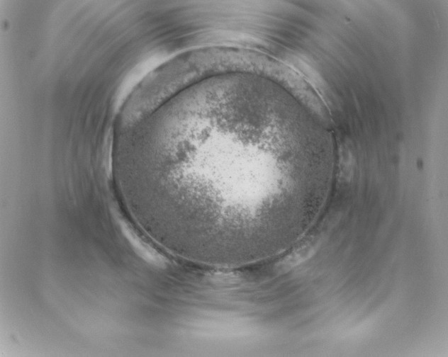 X0000088841128200706071413