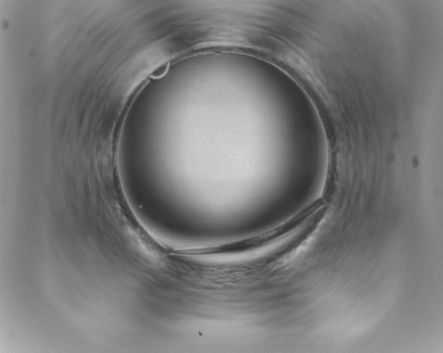 X0000088841129200706071413