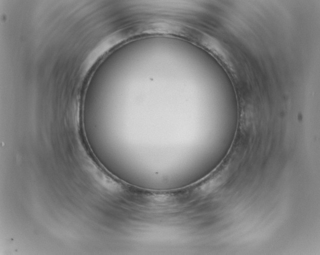 X0000088841130200706071413