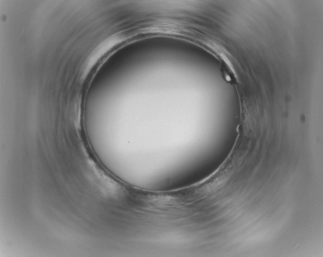 X0000088841131200706071413