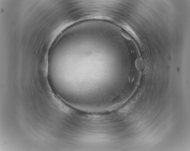 X0000088841132200706071413