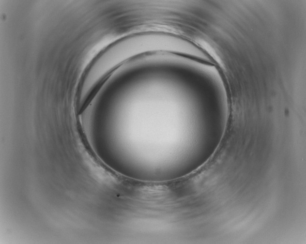 X0000088841133200706071413