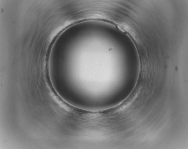 X0000088841134200706071413