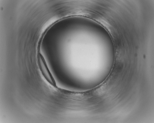 X0000088841135200706071413