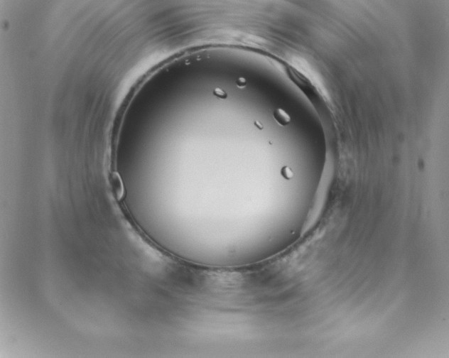 X0000088841136200706071413