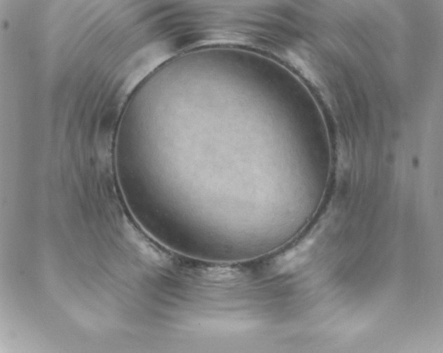 X0000088841137200706071413