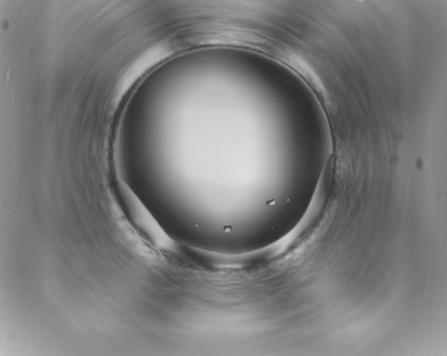 X0000088841138200706071413