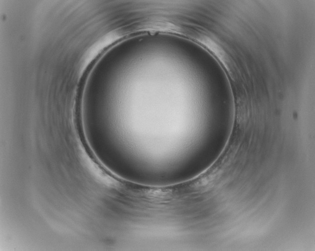 X0000088841139200706071413