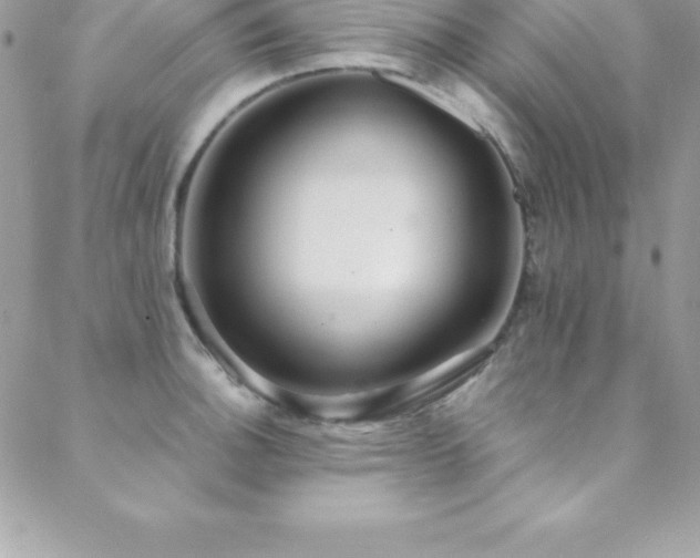 X0000088841140200706071413