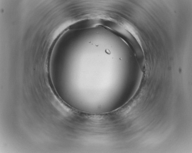 X0000088841141200706071413