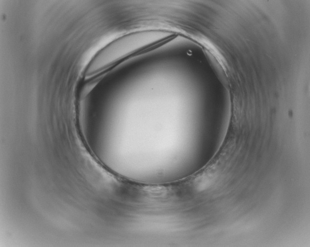 X0000088841142200706071413