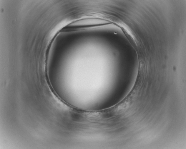 X0000088841143200706071413