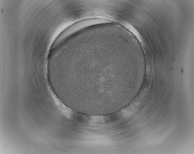 X0000088841144200706071413