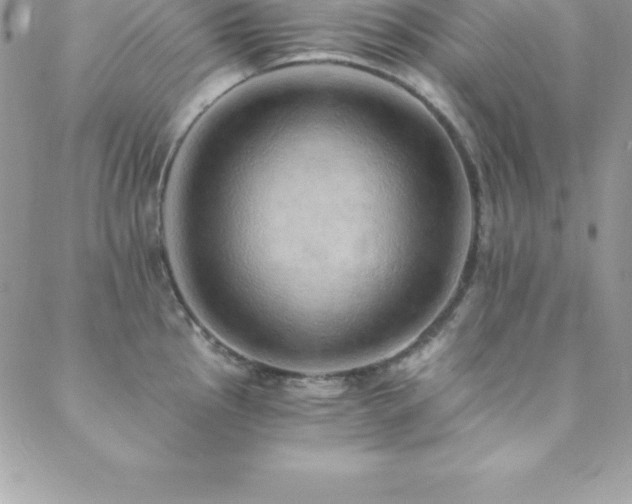 X0000088841145200706071414