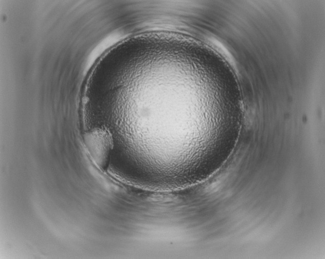 X0000088841146200706071414