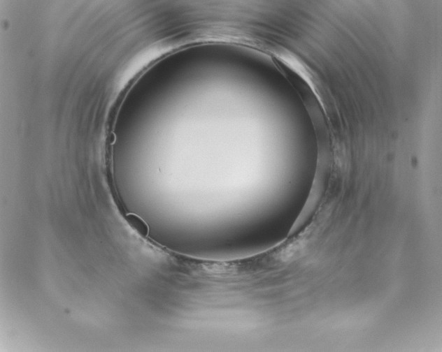 X0000088841147200706071414