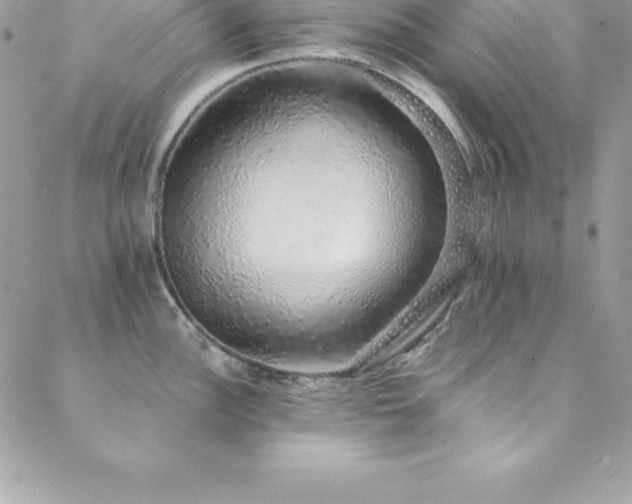 X0000088841148200706071414