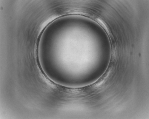 X0000088841149200706071414